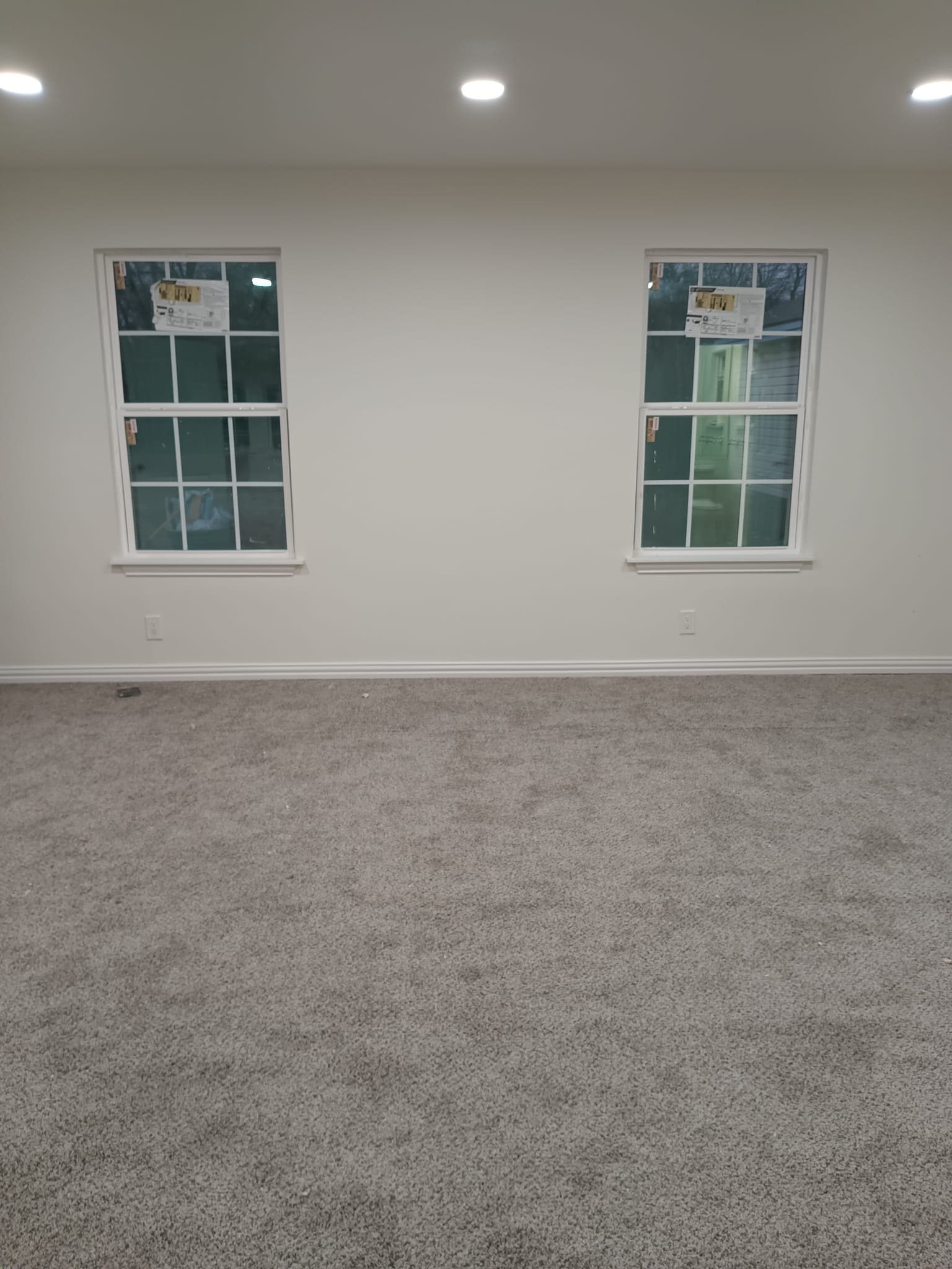 flooring, lights and carpeting done on a budget